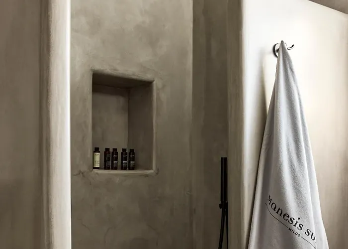 公寓式酒店 Manesis