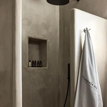 Апарт-отель Manesis